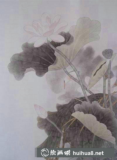 怎么畫荷花