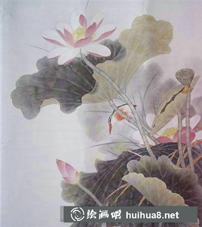 怎么畫荷花