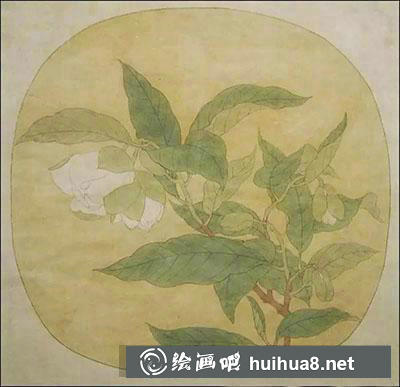 怎么畫白茶花