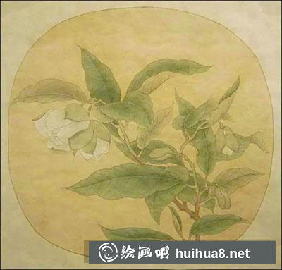 怎么畫白茶花