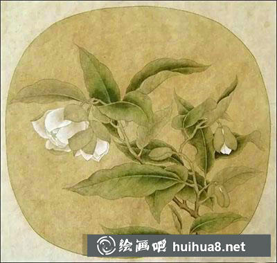 怎么畫白茶花