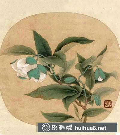 怎么畫白茶花