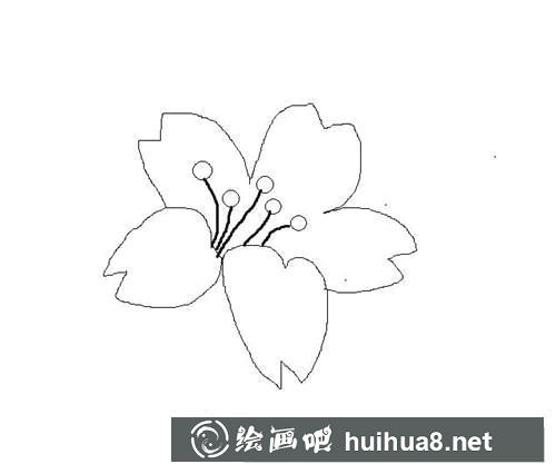 簡筆畫教程