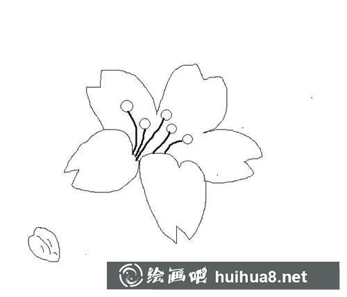 簡筆畫教程