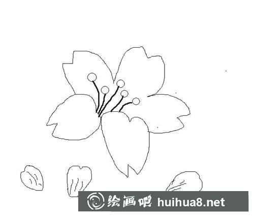 簡筆畫教程