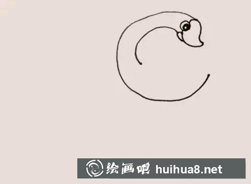天鵝簡(jiǎn)筆畫過程