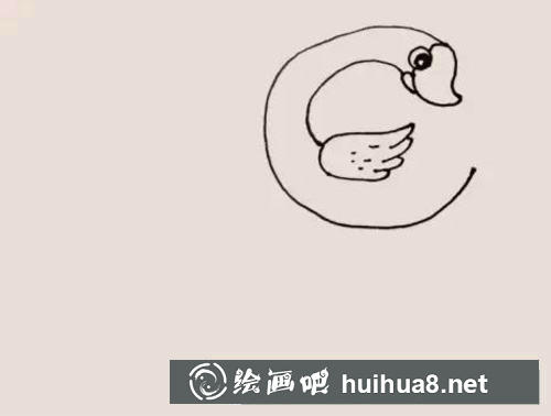 天鵝簡(jiǎn)筆畫過程