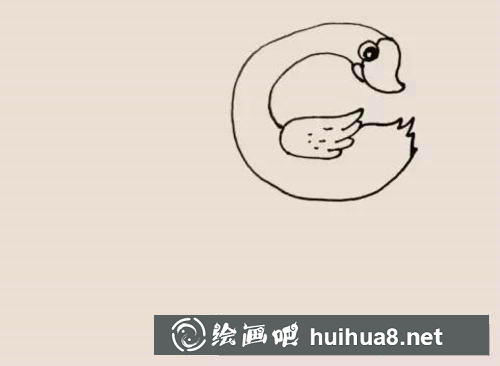 天鵝簡(jiǎn)筆畫過程