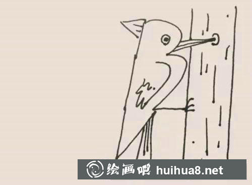啄木鳥簡筆畫過程