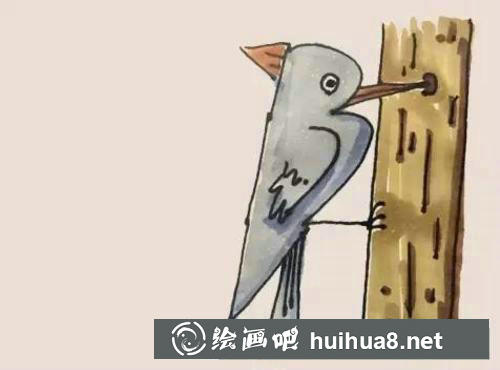 啄木鳥簡筆畫過程