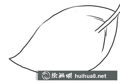 怎么畫七星瓢蟲
