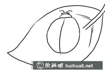怎么畫七星瓢蟲