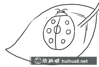 怎么畫七星瓢蟲