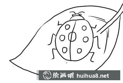 怎么畫七星瓢蟲