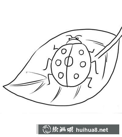怎么畫七星瓢蟲