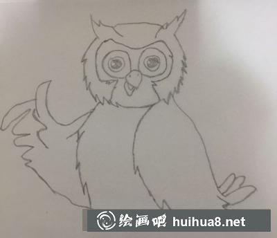 貓頭鷹的畫法