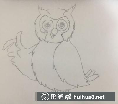 貓頭鷹的畫法