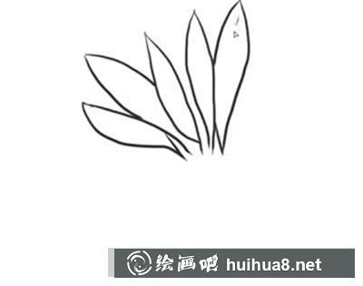 怎么畫侏羅紀(jì)樹木