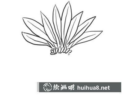 怎么畫侏羅紀(jì)樹木