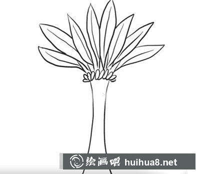 怎么畫侏羅紀(jì)樹木