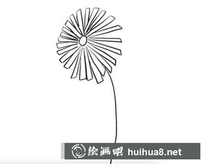怎么畫雛菊
