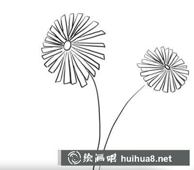 怎么畫雛菊