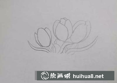 花瓶的畫法