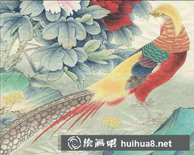 工筆畫教程怎么畫紅腹錦雞