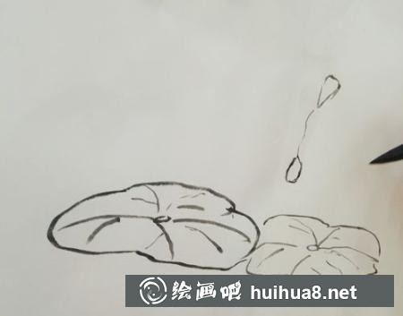 荷花的畫法第三步