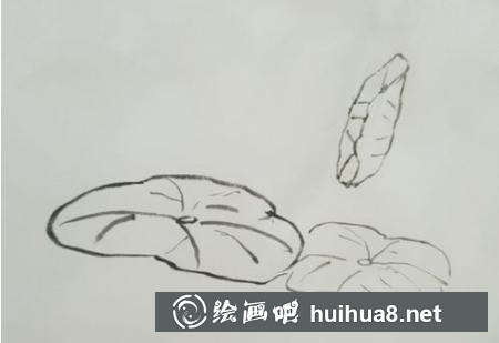 荷花的畫法第四步