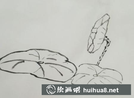 荷花的畫法第五步