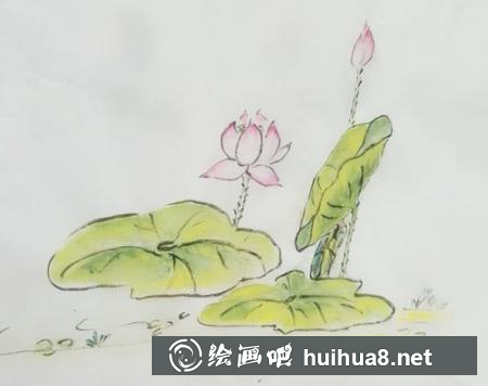 荷花的畫法第六步