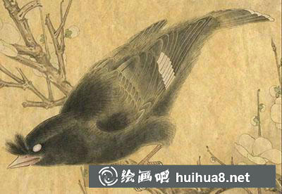 怎么畫八哥