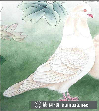 怎么畫(huà)鴿子