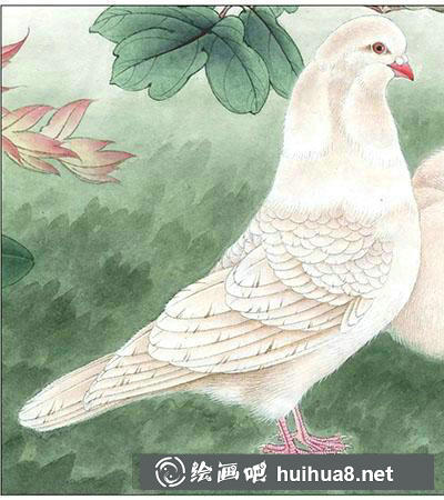 怎么畫(huà)鴿子