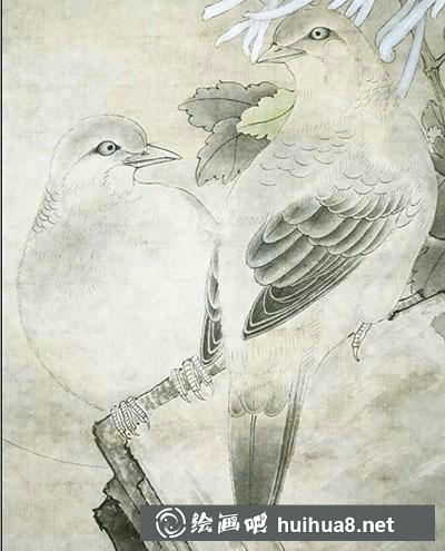 怎么畫(huà)工筆畫(huà)斑鳩