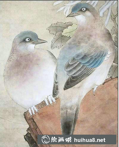 怎么畫(huà)工筆畫(huà)斑鳩
