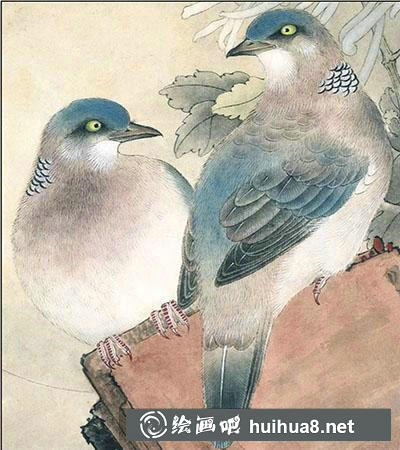 怎么畫(huà)工筆畫(huà)斑鳩