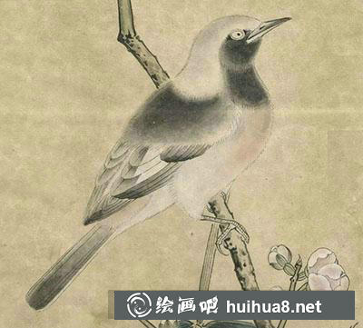 工筆畫教程怎么畫紅腹山雀