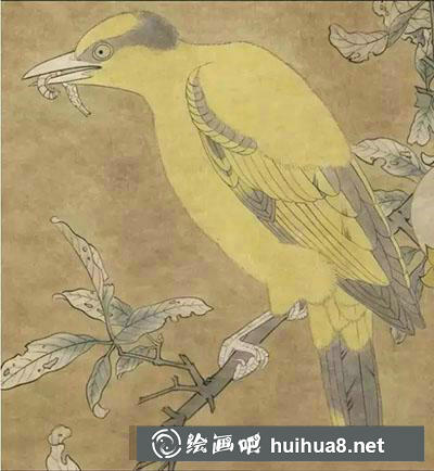工筆畫教程怎么畫黃鶯