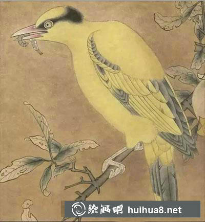 工筆畫教程怎么畫黃鶯