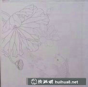 工筆畫荷花鯉魚繪制教程