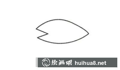 海龜簡筆畫