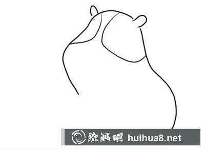 簡(jiǎn)筆畫教程怎么畫豚鼠
