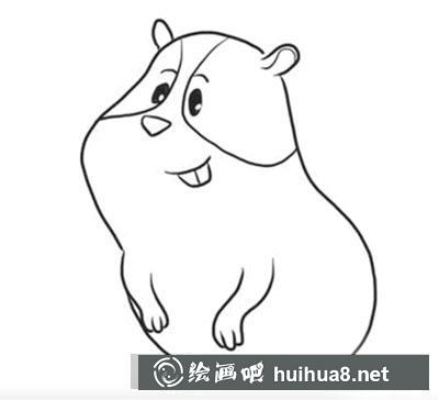 簡(jiǎn)筆畫教程怎么畫豚鼠