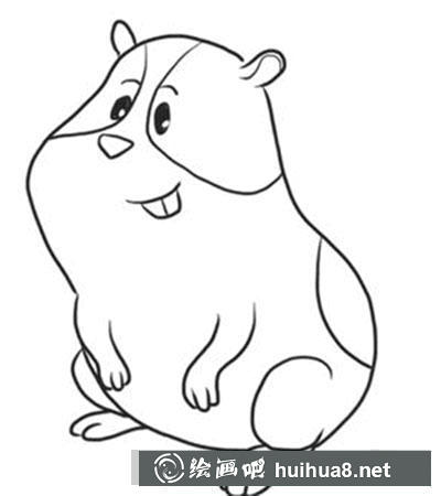 簡(jiǎn)筆畫教程怎么畫豚鼠