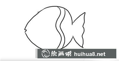 簡(jiǎn)筆畫教程怎么畫小魚