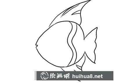 簡(jiǎn)筆畫教程怎么畫小魚