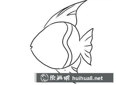 簡(jiǎn)筆畫教程怎么畫小魚