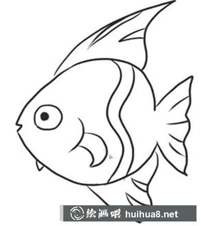 簡(jiǎn)筆畫教程怎么畫小魚